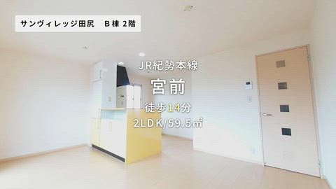 動画