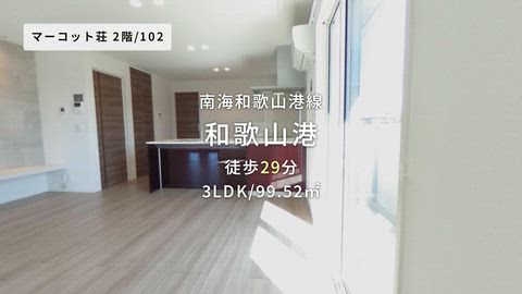 動画