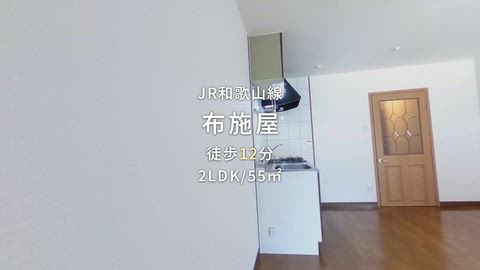 動画