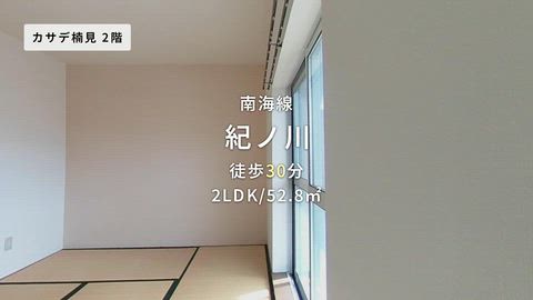 動画