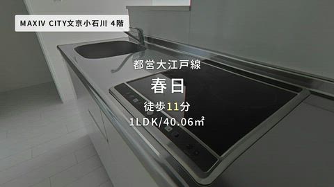 動画