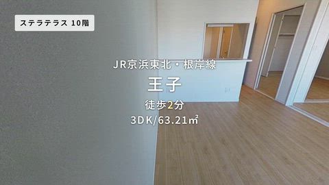 動画