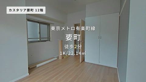 動画