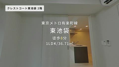 動画