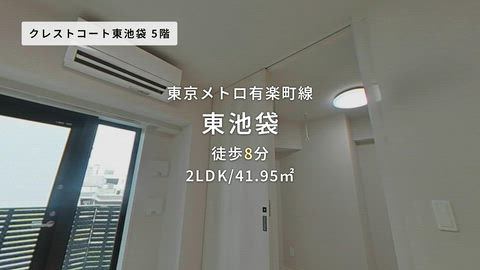 動画