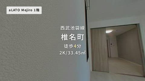 動画