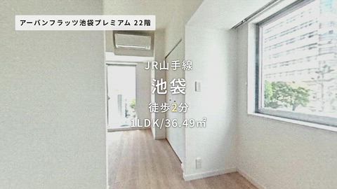 動画