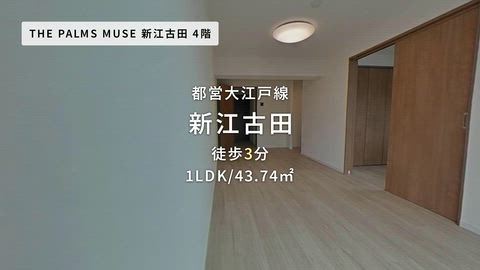 動画