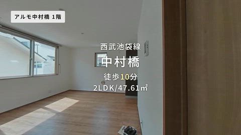 動画