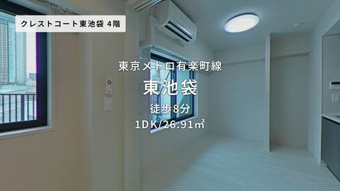 動画