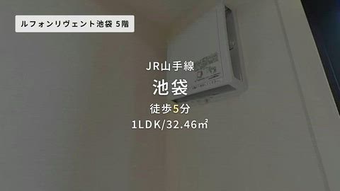 動画