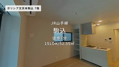 動画