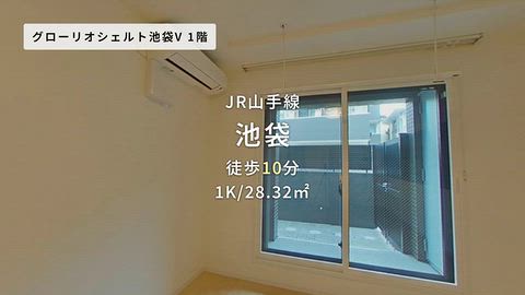 動画