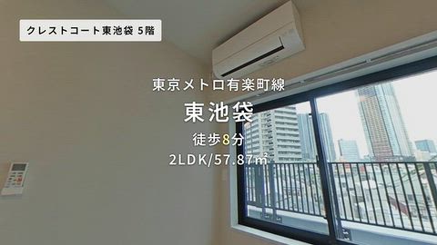 動画