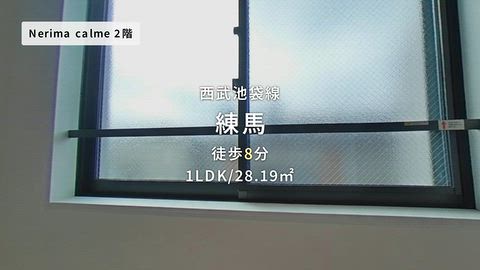 動画