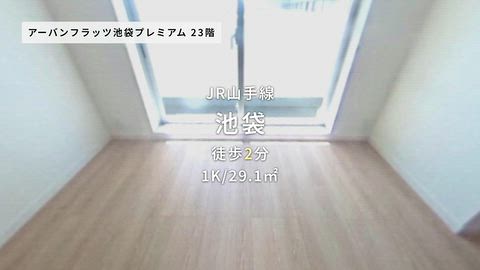 動画