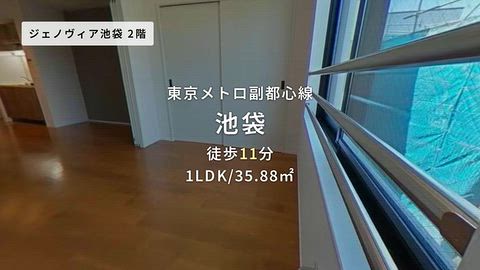 動画