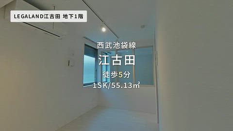 動画