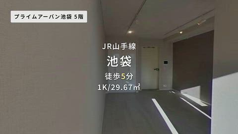 動画