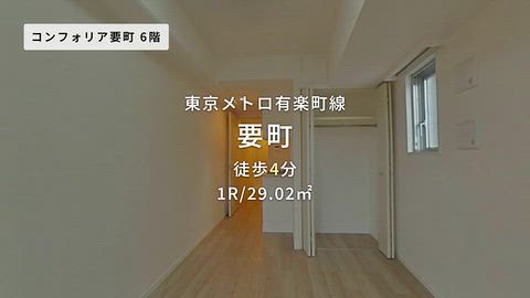 動画