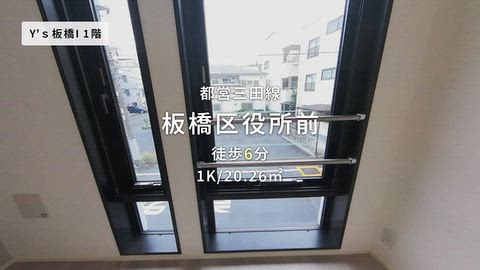 動画