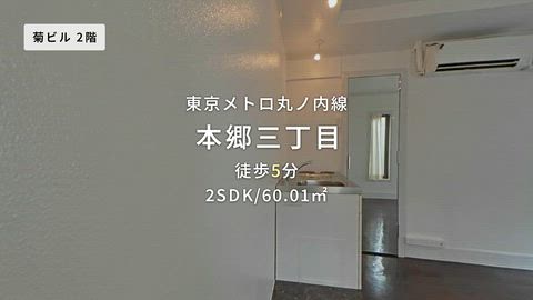 動画
