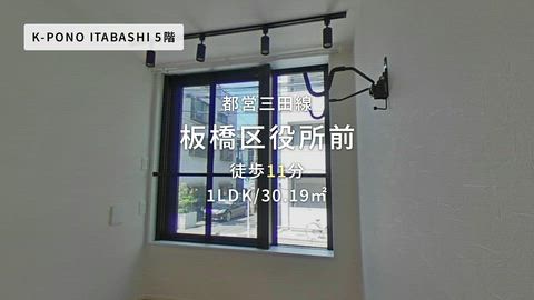 動画