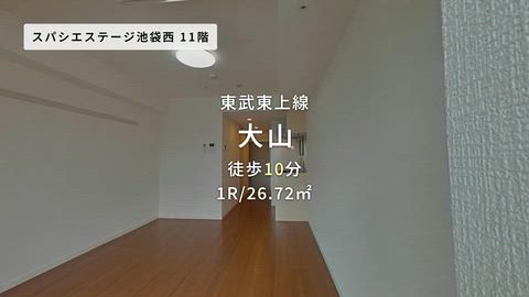 動画