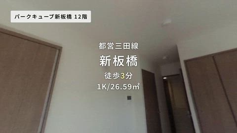 動画