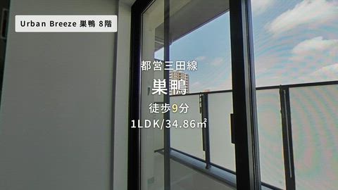動画