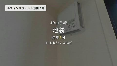 動画