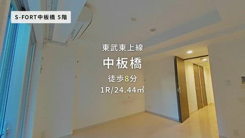 動画