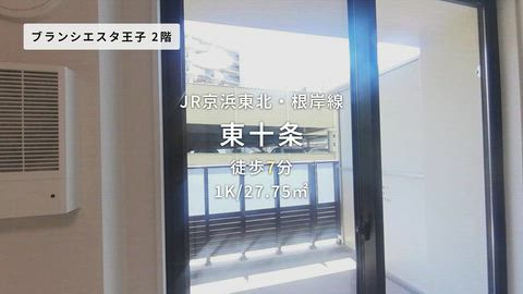 動画