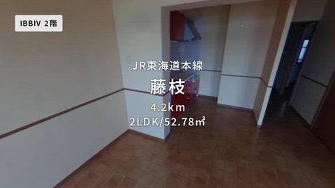 動画