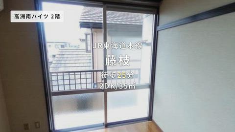 動画