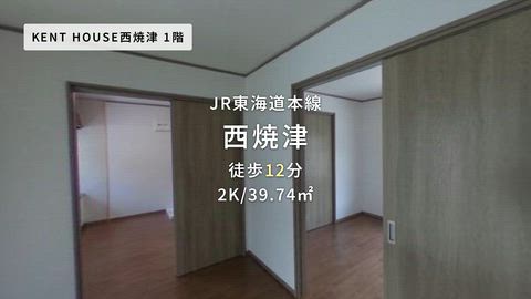 動画