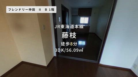 動画