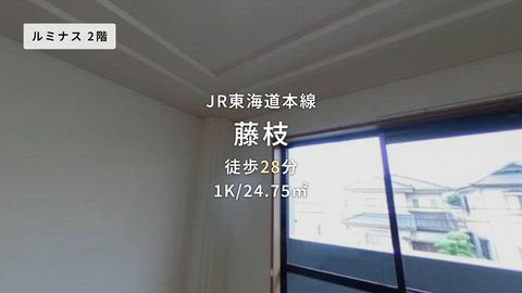 動画