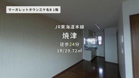 動画