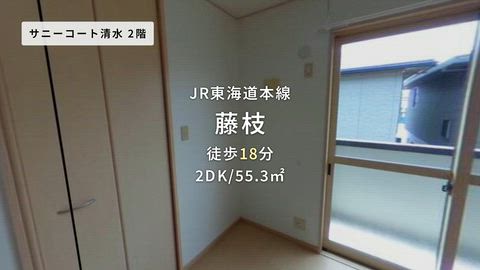 動画