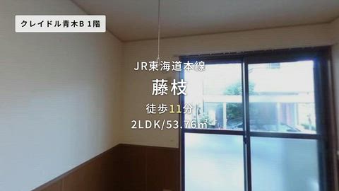 動画