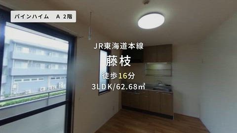 動画