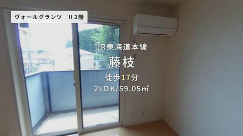 動画