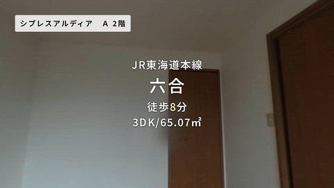 動画