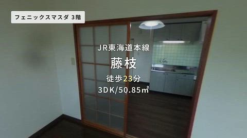 動画