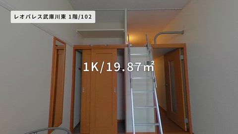 紹介ムービー