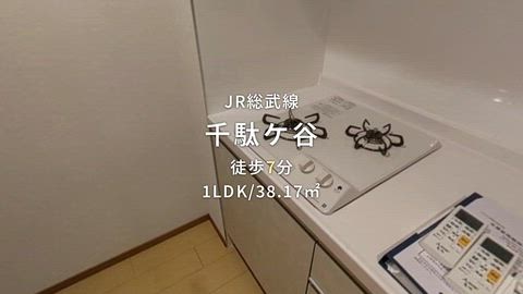 動画