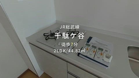 動画