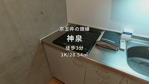動画