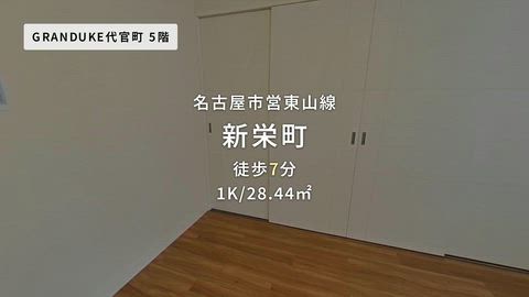 動画